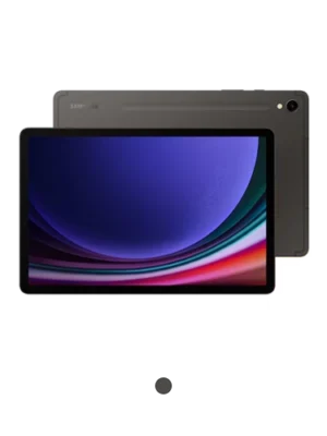 Samsung Galaxy Tab S9 Wifi 12GB RAM - 256GB ROM