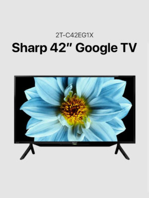 Sharp 42" Google TV (2T-C42EG1X)