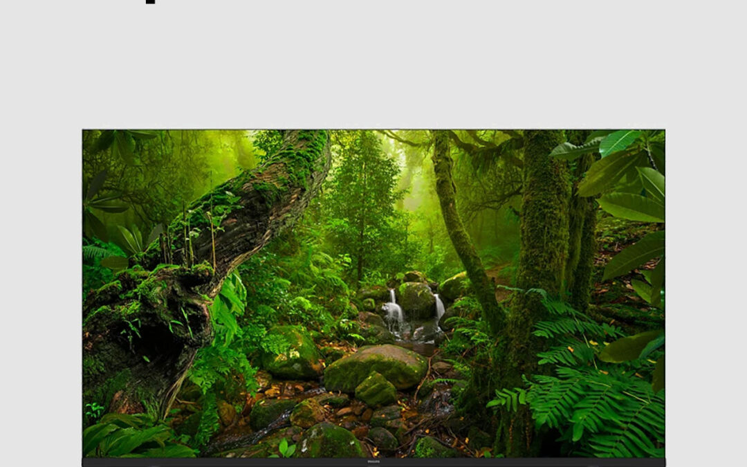Philips 8100 series 4K UHD QLED TV