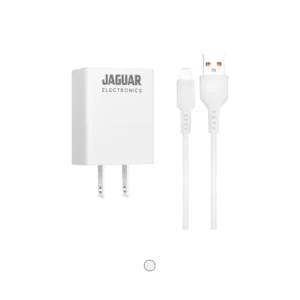 Jaguar Electronics WCP29 Wall Charger